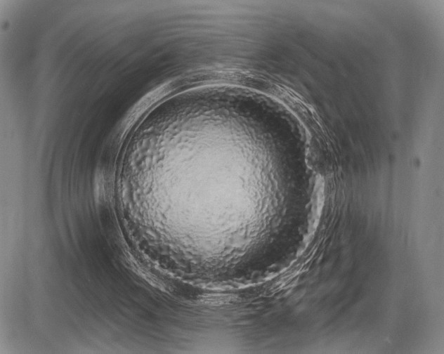 X0000085020051200703051323