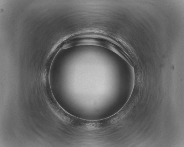 X0000085020064200703051323