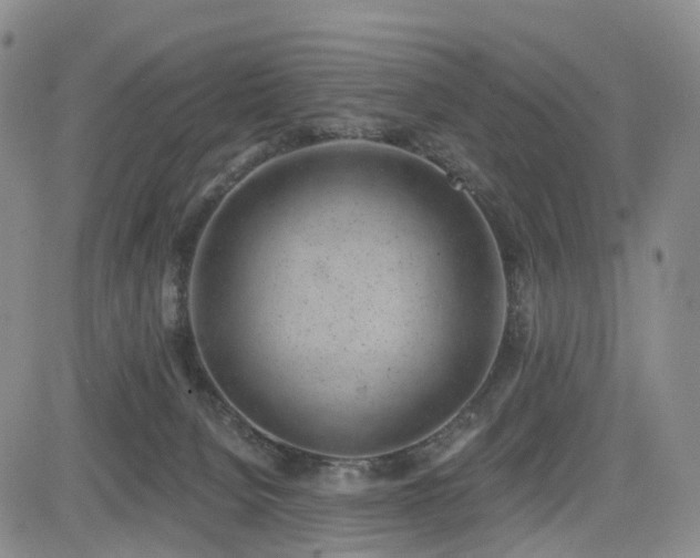 X0000085020080200703051323