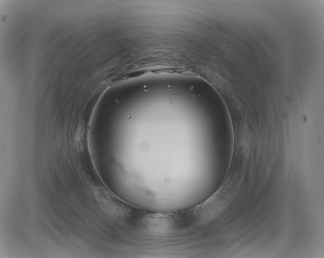 X0000085020082200703051323