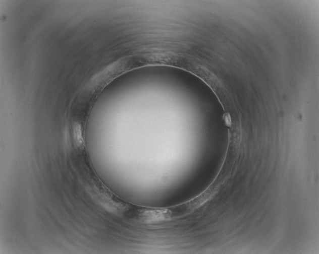 X0000085020089200703051324