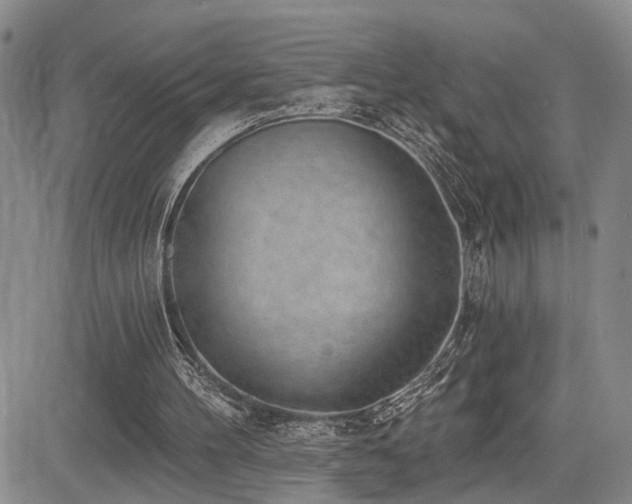 X0000085020100200703051323
