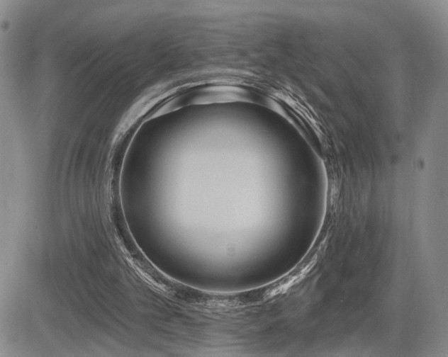 X0000085020101200703051323