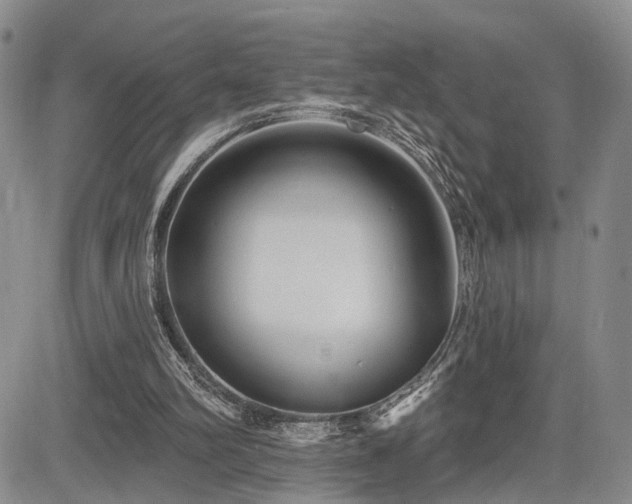 X0000085020102200703051323