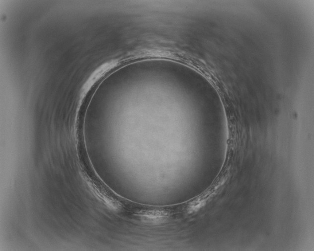 X0000085020104200703051323