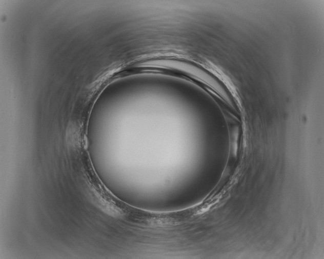 X0000085020105200703051323