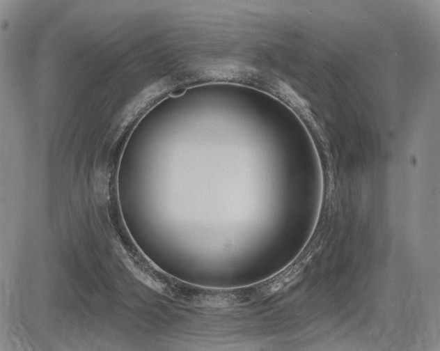 X0000085020106200703051323