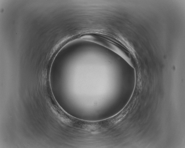 X0000085020107200703051323