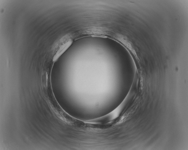 X0000085020109200703051323