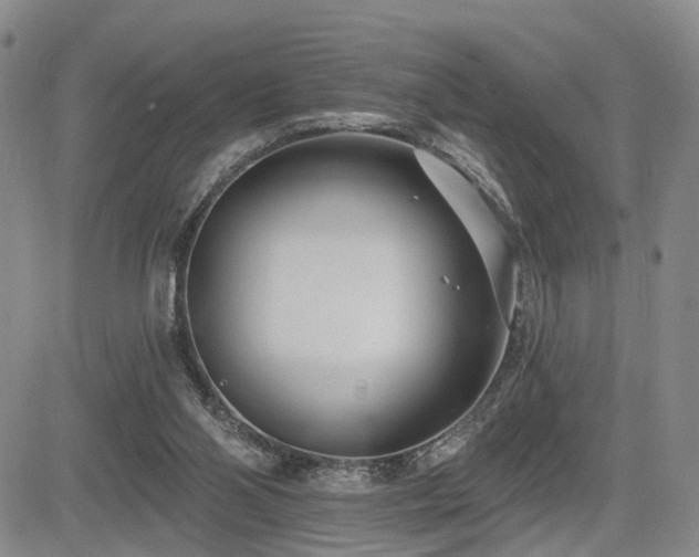 X0000085020110200703051323