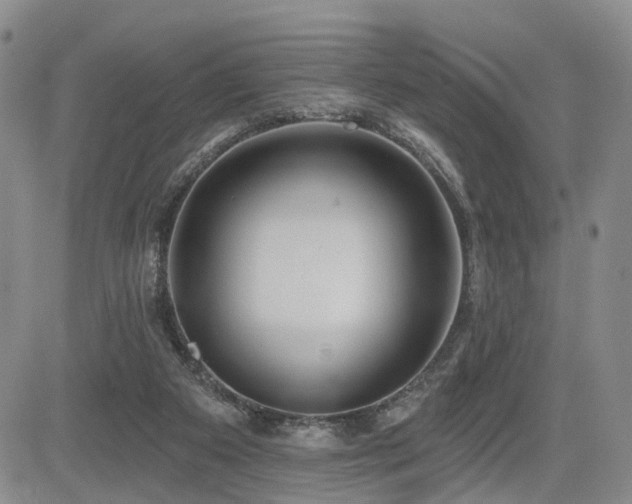 X0000085020113200703051323