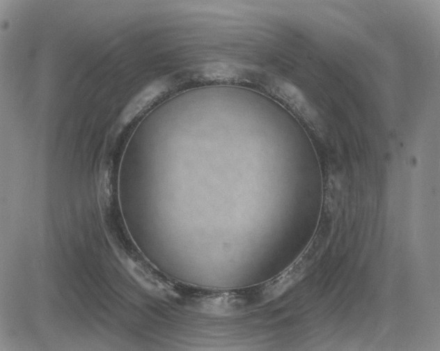 X0000085020116200703051323