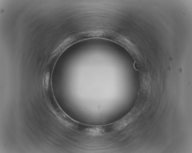 X0000085020118200703051323