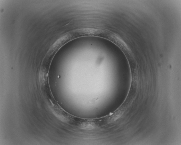 X0000085020119200703051323