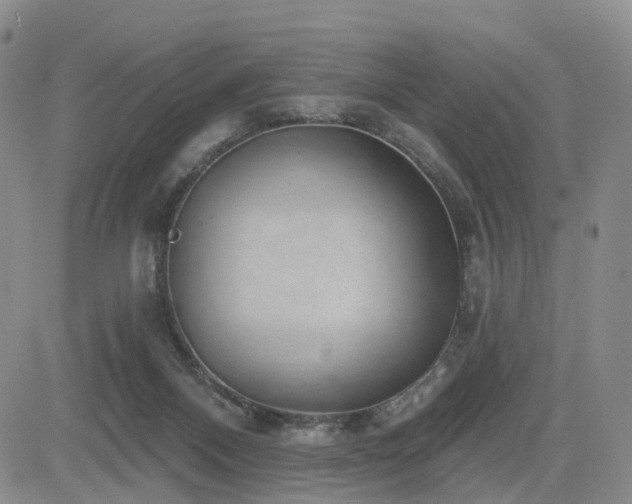X0000085020120200703051323