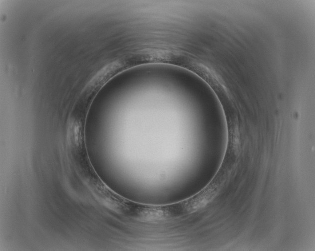 X0000085020123200703051322