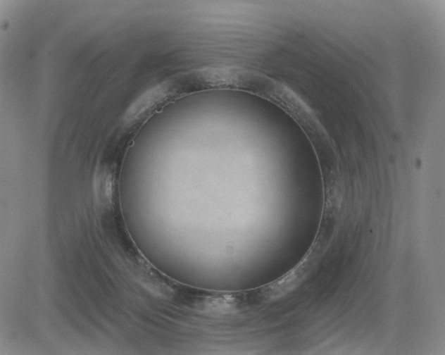 X0000085020124200703051322