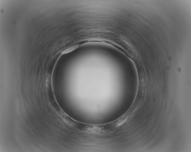 X0000085020125200703051322