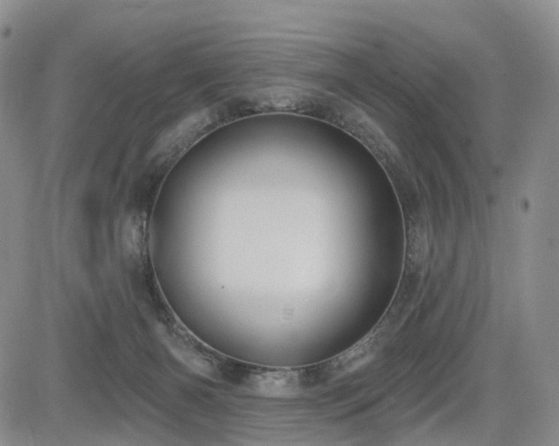 X0000085020126200703051322