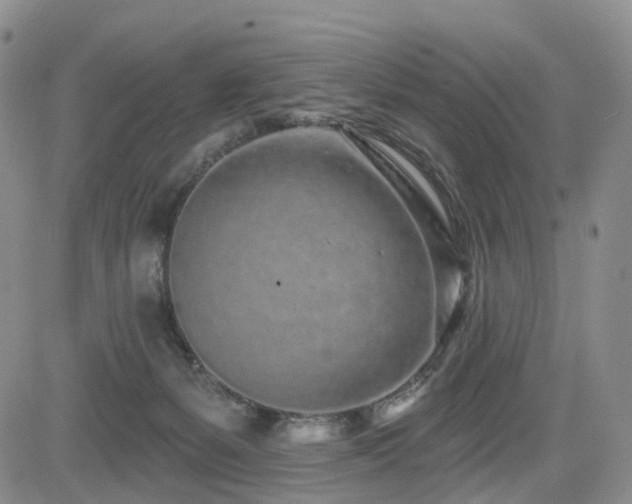 X0000085020127200703051322