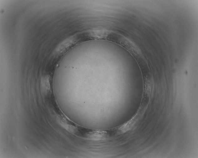 X0000085020128200703051322