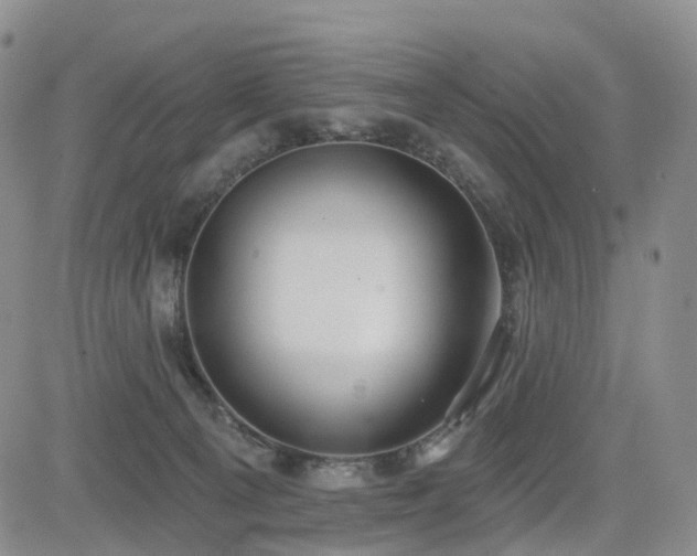 X0000085020129200703051322