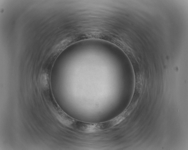 X0000085020130200703051322