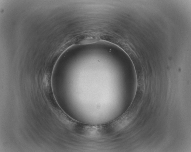 X0000085020131200703051322