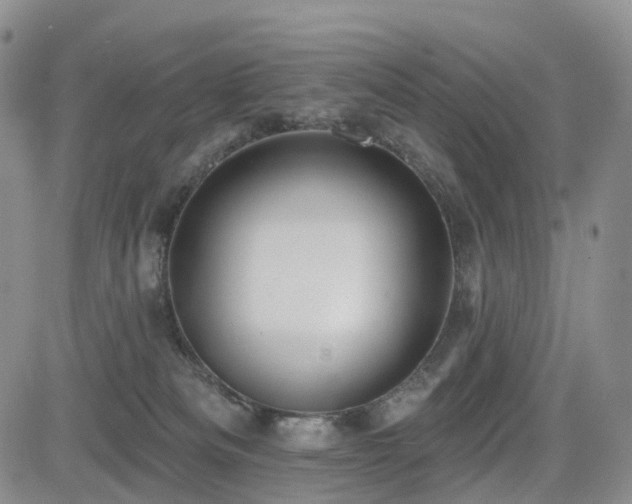 X0000085020133200703051322