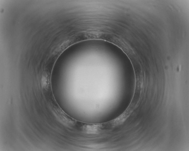 X0000085020134200703051322