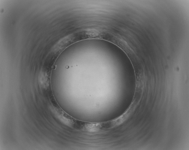 X0000085020136200703051322