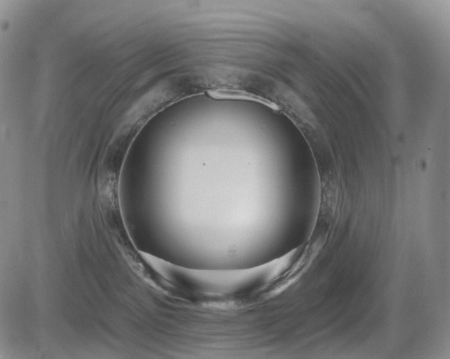 X0000085020141200703051322