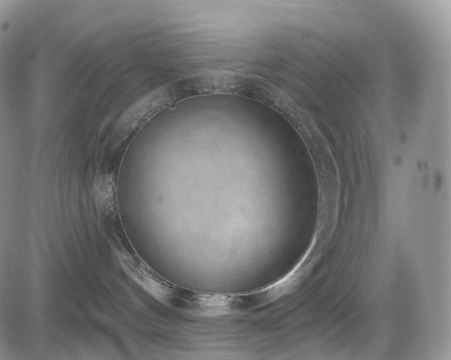 X0000085020144200703051322