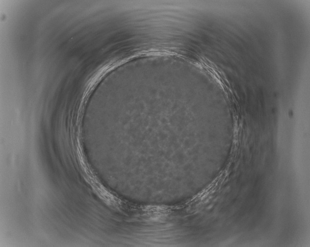 X0000085020145200703051321