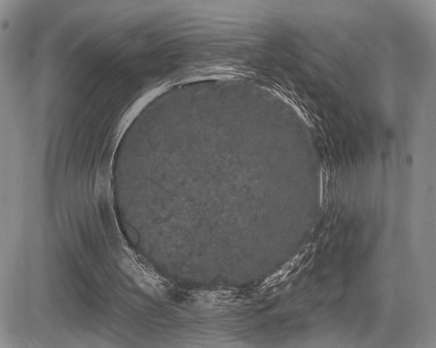 X0000085020147200703051321