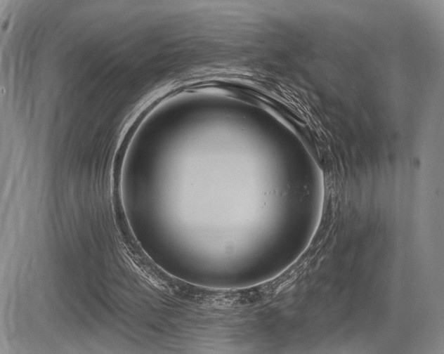 X0000085020148200703051321