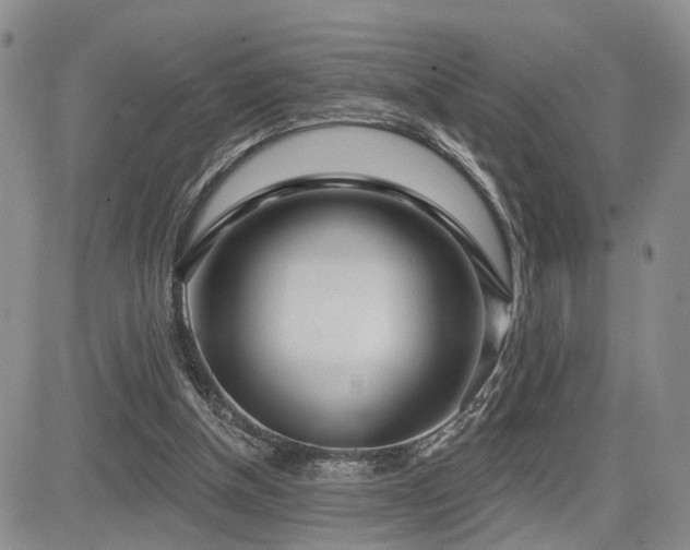 X0000085020154200703051321