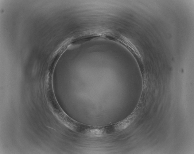 X0000085020163200703051322