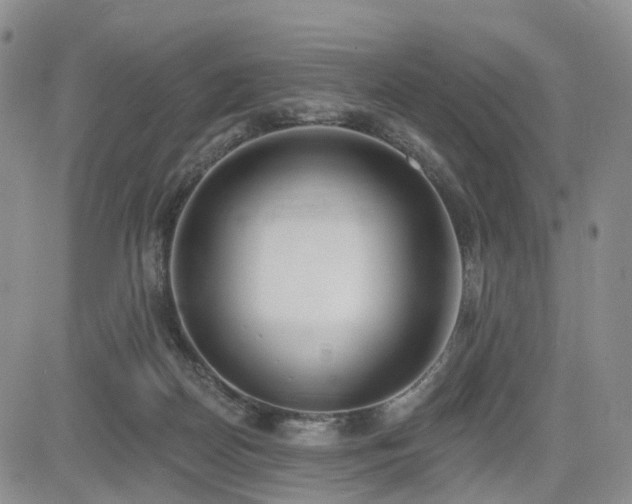 X0000085020170200703051322