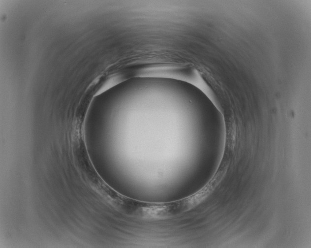X0000085020172200703051322