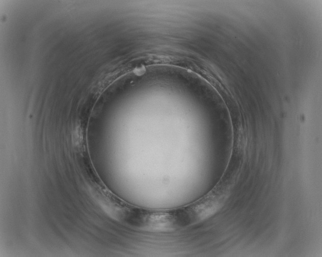 X0000085020173200703051322