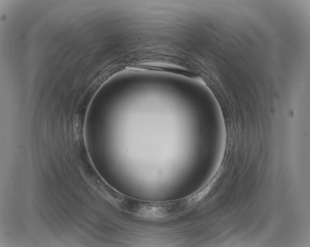 X0000085020174200703051322