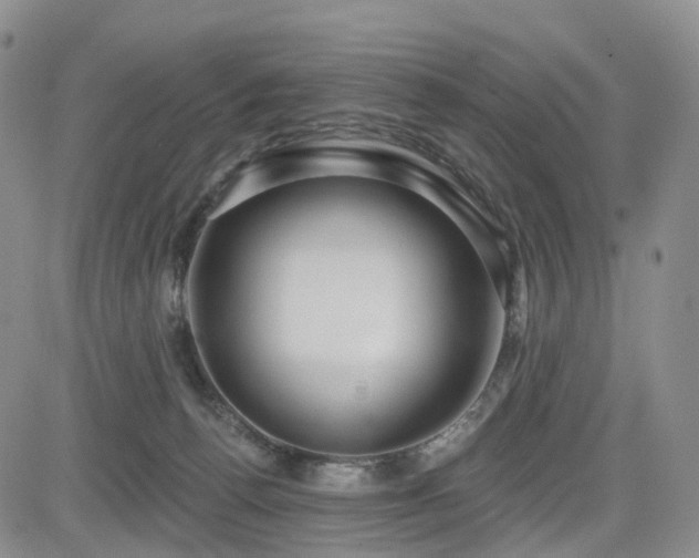 X0000085020176200703051322