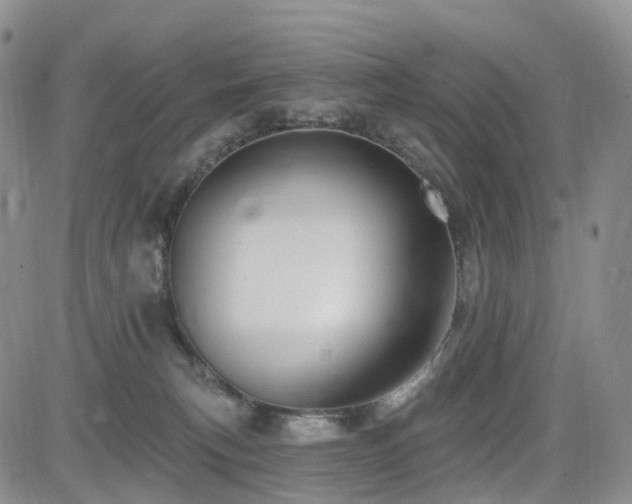 X0000085020183200703051322