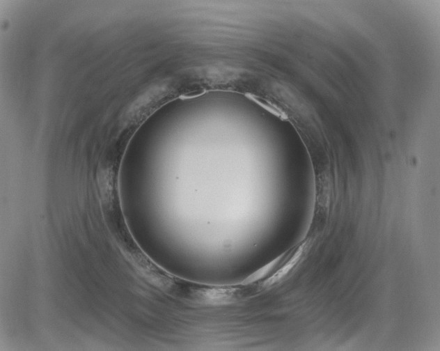 X0000085020184200703051322