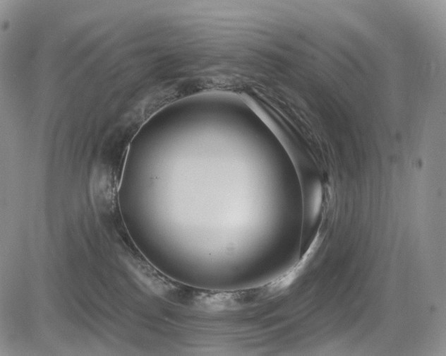 X0000085020186200703051322