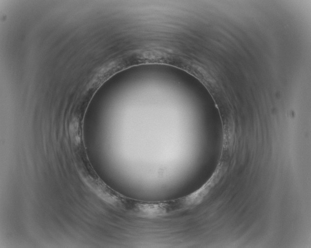 X0000085020187200703051322