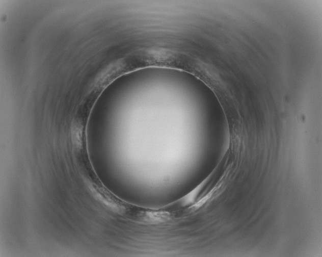 X0000085020188200703051322