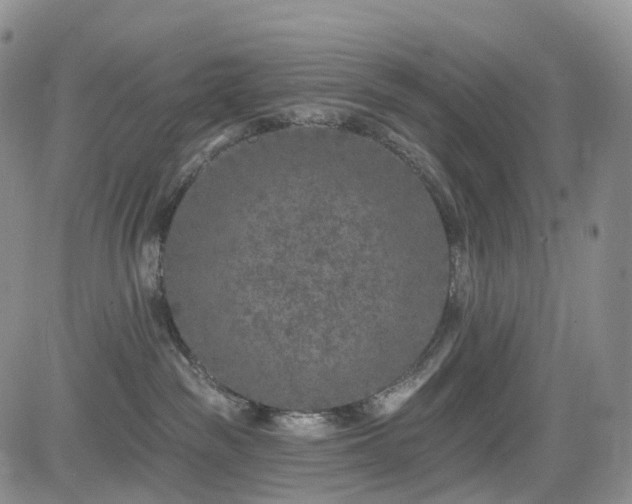 X0000085020189200703051322