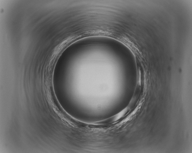 X0000085020193200703051321